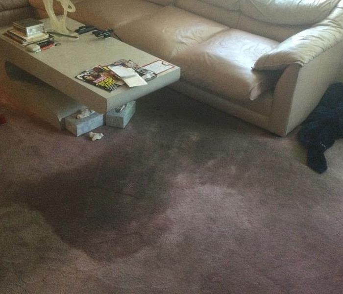 carpet water loss